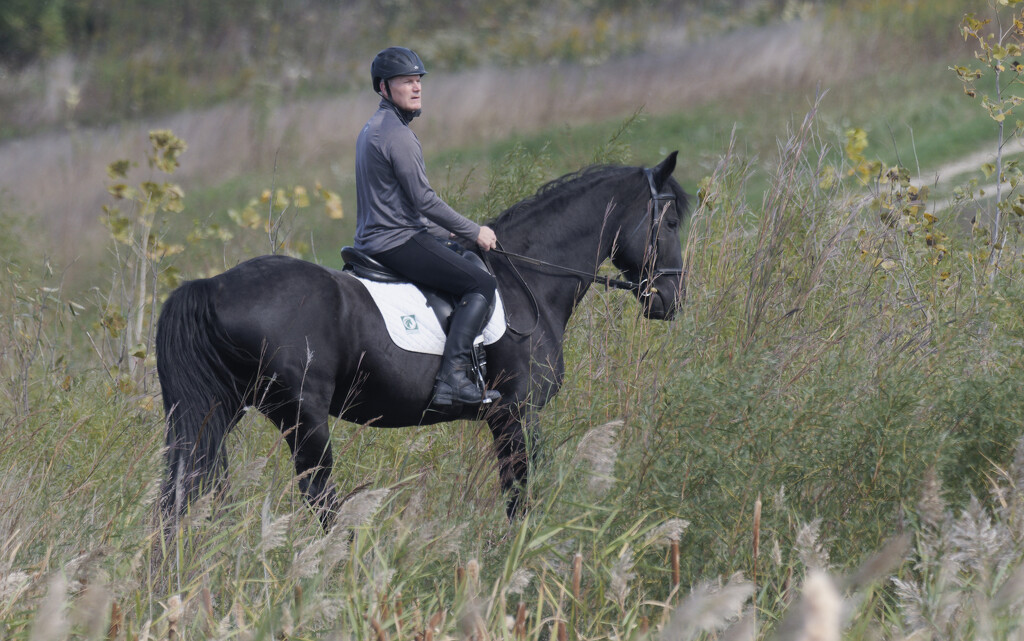 horseback rider by rminer