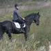horseback rider by rminer