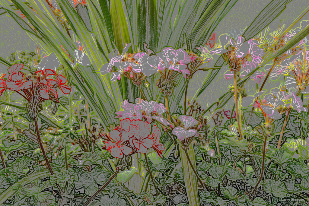 Barrel of plants artistic colored pencil by larrysphotos