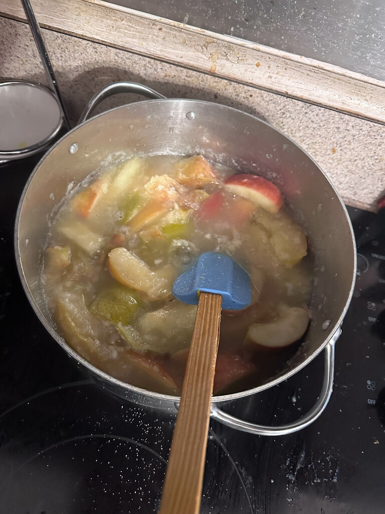 Cooking Applesauce by joansmor