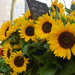 sunflowers by parisouailleurs