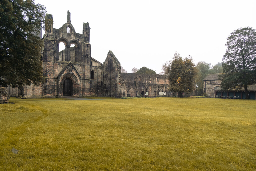 Kirkstall Abbey on a Misty Autumn Morning  by lumpiniman