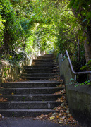 7th Oct 2023 - The Hundred Steps