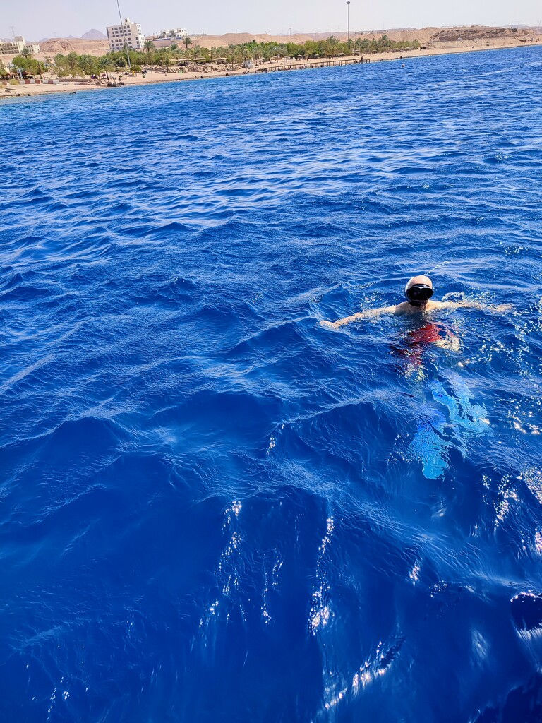 Snorkelling in the Red Sea by boxplayer