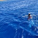 Snorkelling in the Red Sea by boxplayer
