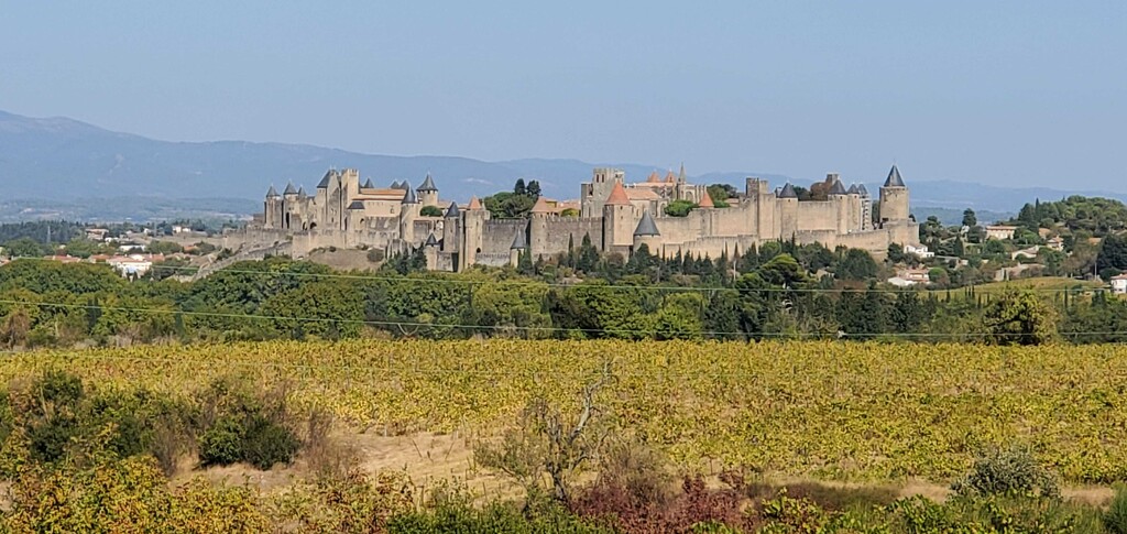 Carcassonne by laroque