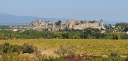7th Oct 2023 - Carcassonne