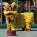 Lion dance by wh2021