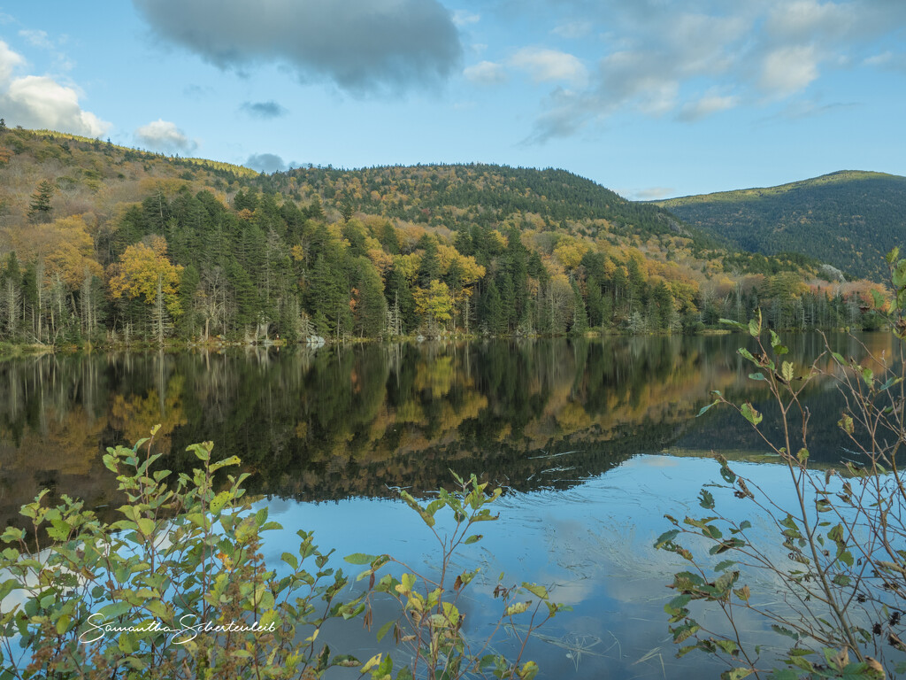 Still waters by sschertenleib