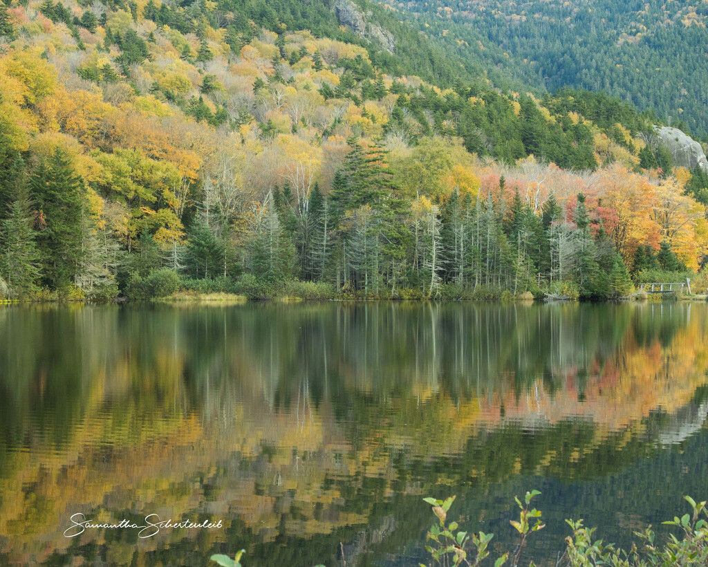 Fall reflections by sschertenleib