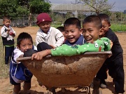 1st Feb 2011 - Boys playing in wheelbarrow