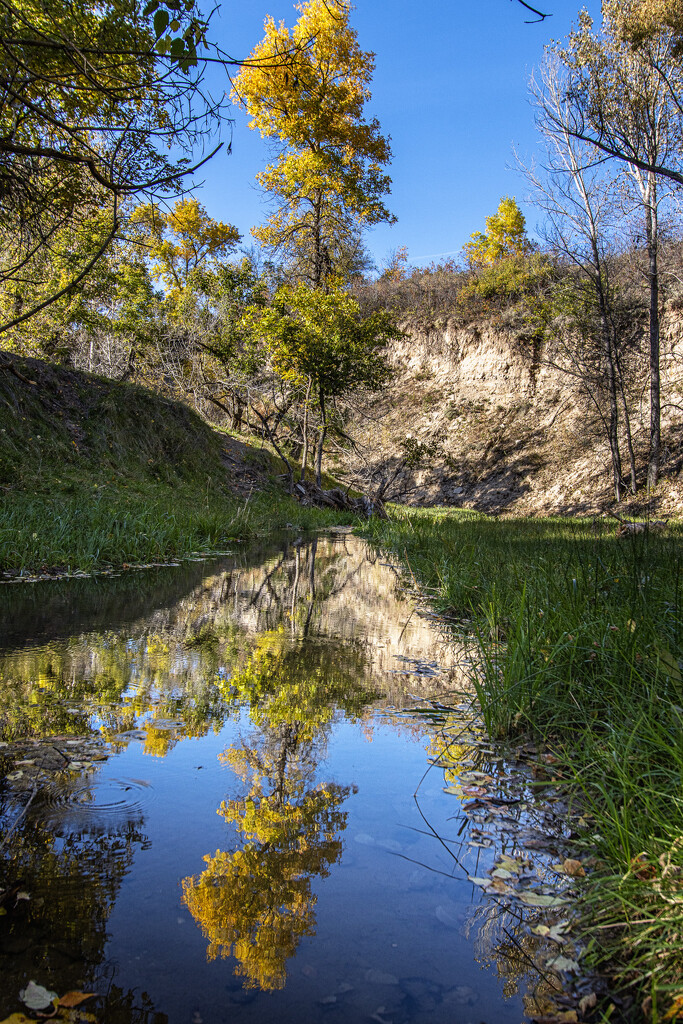 fall reflected by aecasey