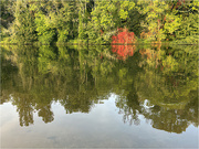 8th Oct 2023 - And quiet flows the Thames