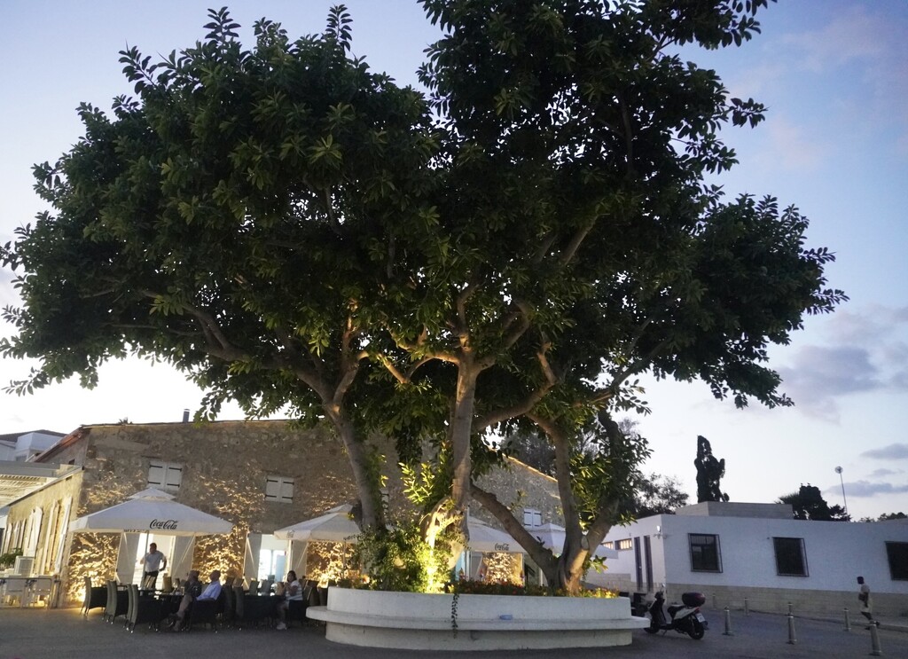 A favourite heart shaped magical tree which I love to sit under in the shade. Turn left for the old harbour & right to discover the The Byzantine History Museum by beverley365
