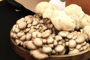 9th Oct 2023 - Overflowing mushrooms 