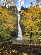 9th Oct 2023 - Shepherd’s Dell Falls