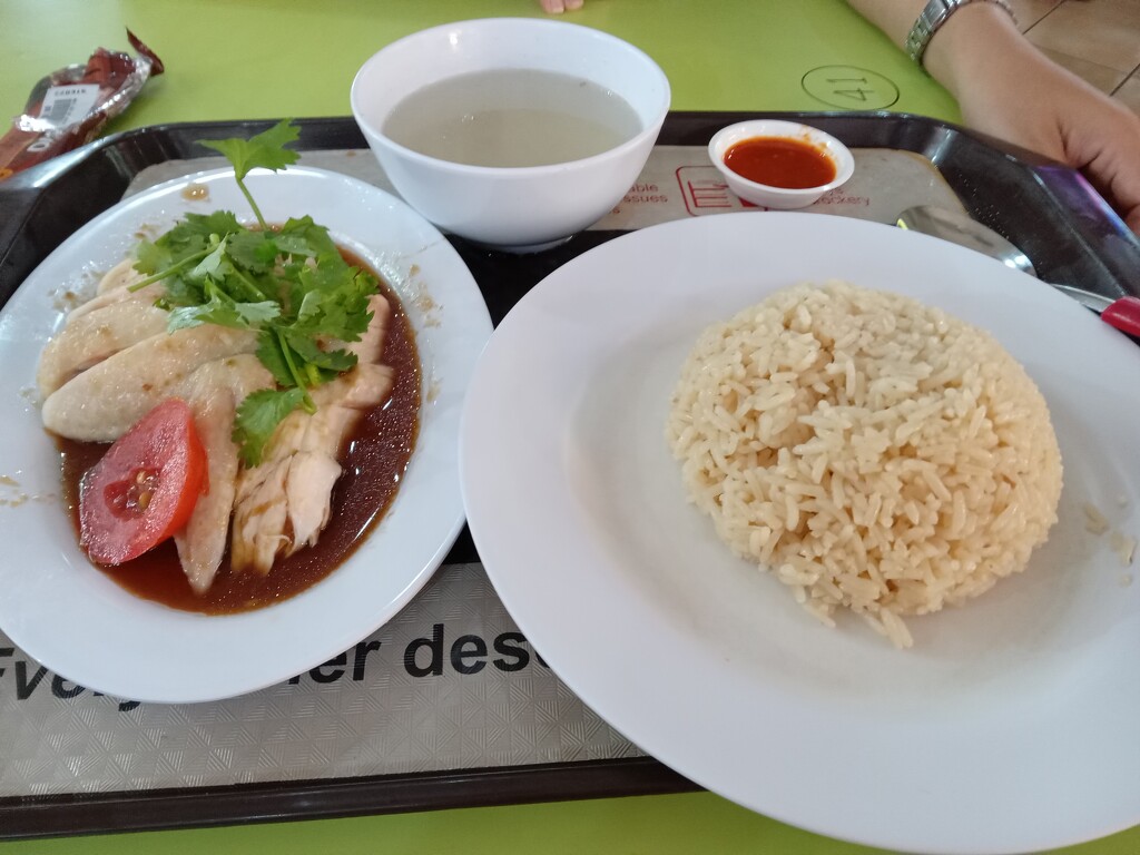 20230609_123622 hainan chicken rice by arnica17