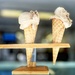 Italian Ice Cream is the Best (10) by rensala