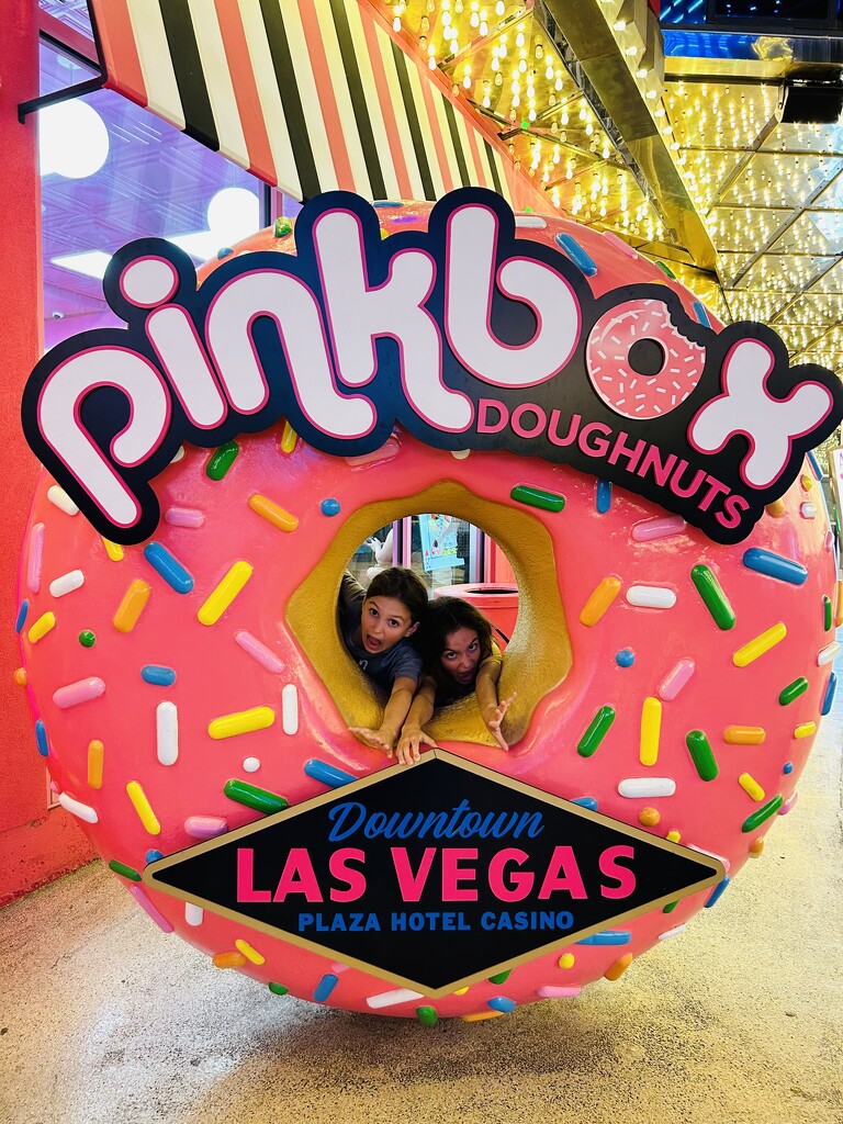 Pink box doughnuts. by robfalbo