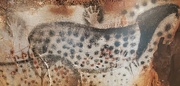 10th Oct 2023 - Cave paintings at Pech Merle