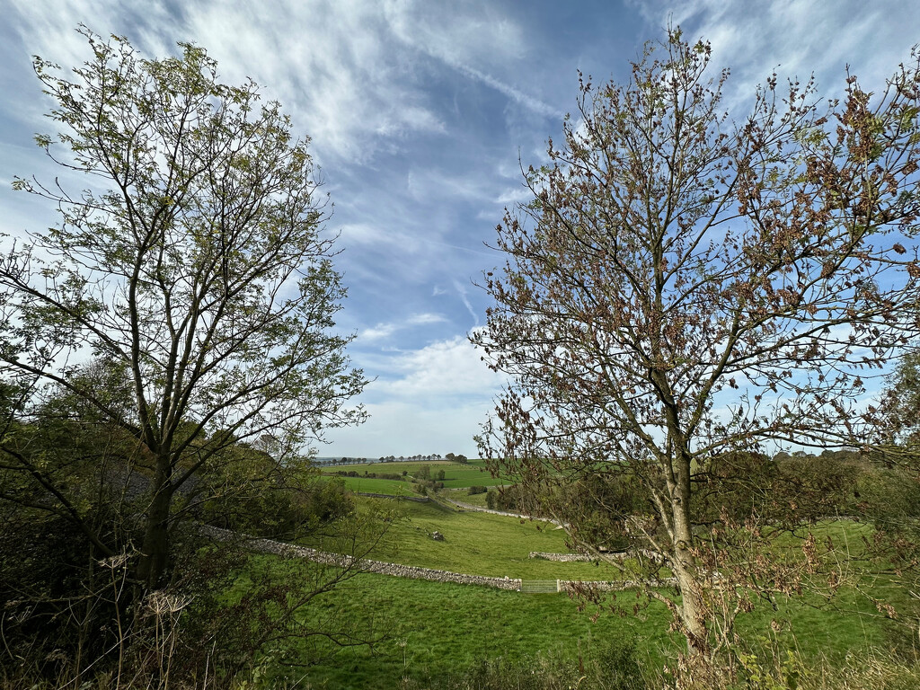 Beautiful Derbyshire Dales by 365projectmaxine