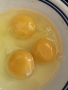 10th Oct 2023 - Y Is for Yolks