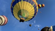 9th Oct 2023 - 2023 Albuquerque Balloon Fiesta