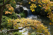 10th Oct 2023 - Autumn waterfall