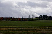 10th Oct 2023 - A touch of fall with clouds