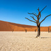 Namibia 6 by nigelrogers