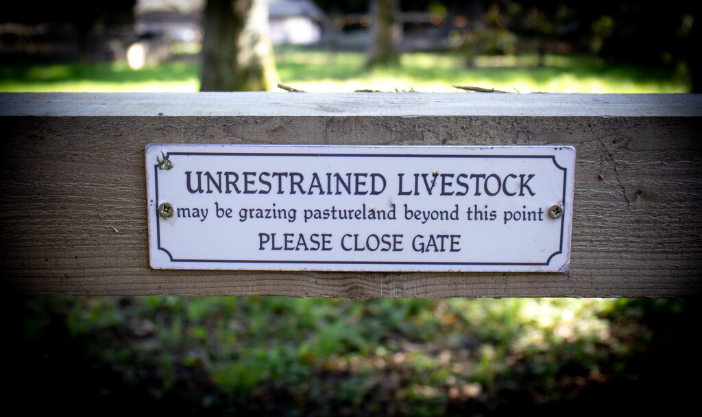 Unrestrained Livestock by swillinbillyflynn