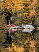 11th Oct 2023 - Fall Colours 