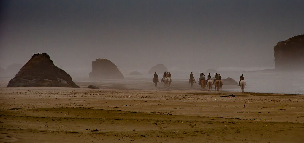 Into the Mist ~ Bandon, Oregon by 365projectorgbilllaing