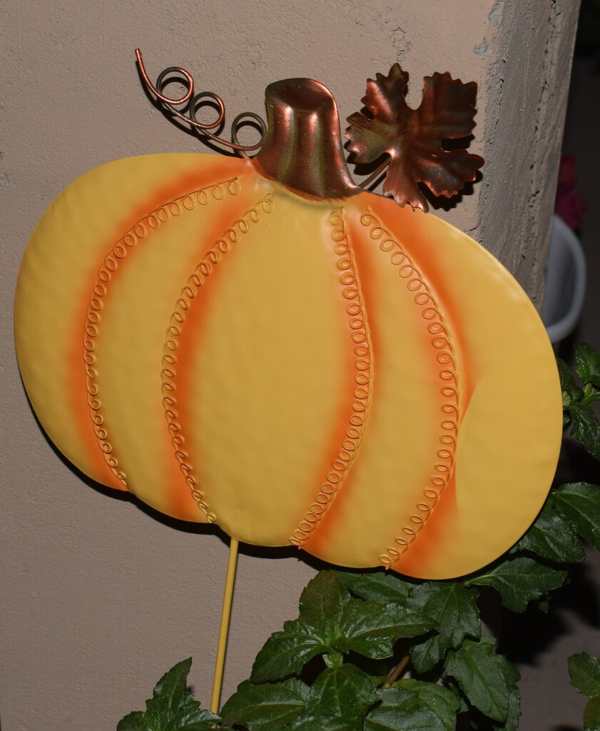10 10 pumpkin by sandlily