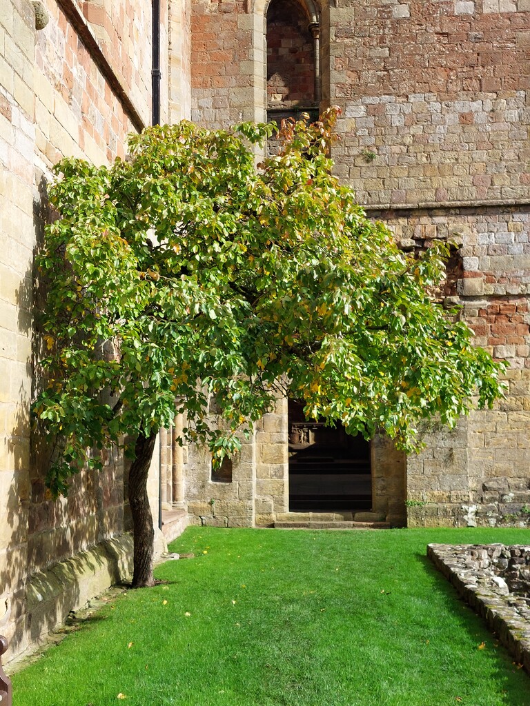 Lanercost Priory  by samcat