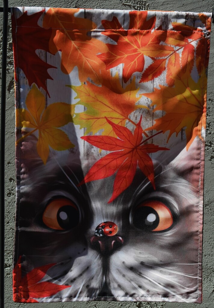 10 11 Autumn flag with cat by sandlily