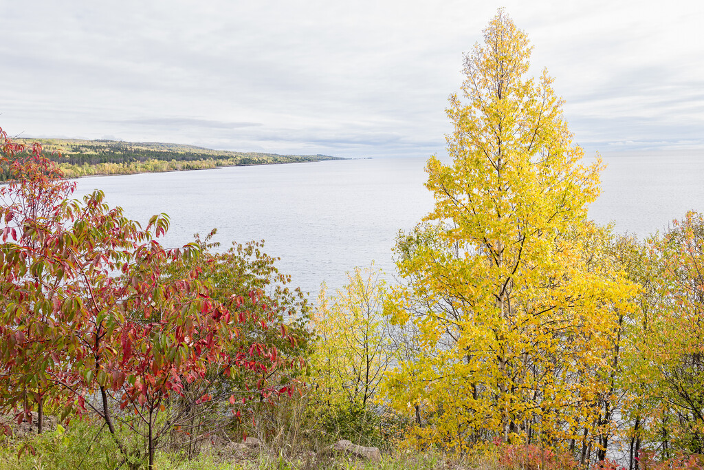 Fall Colors by tosee