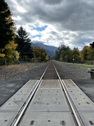 11th Oct 2023 - Coming Through at Viento State Park, Oregon