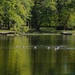 Lake View by lynnz