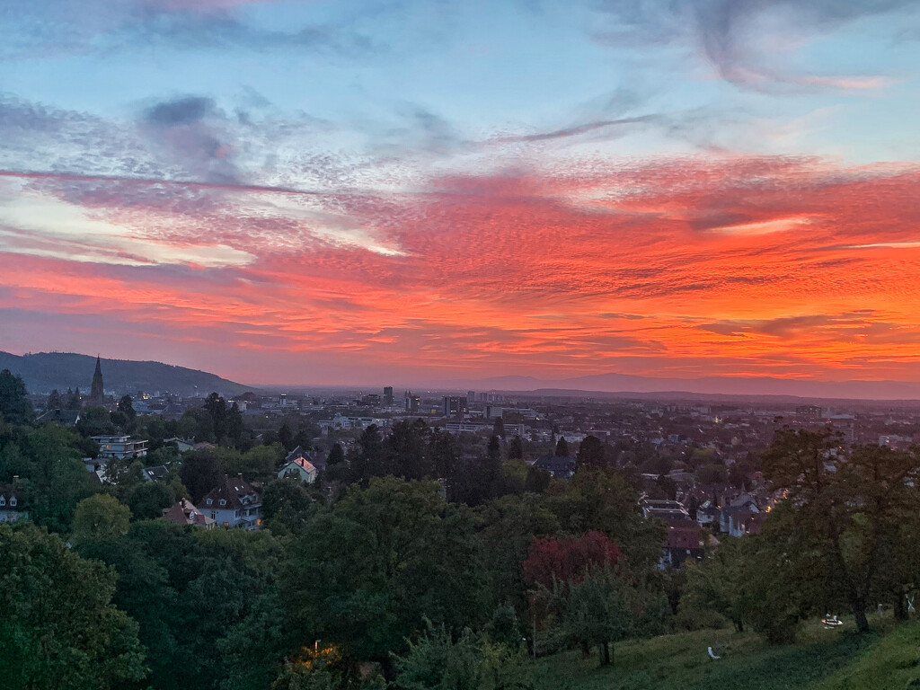 Sunset on Freiburg im Brisgau , Germany.  by cocobella