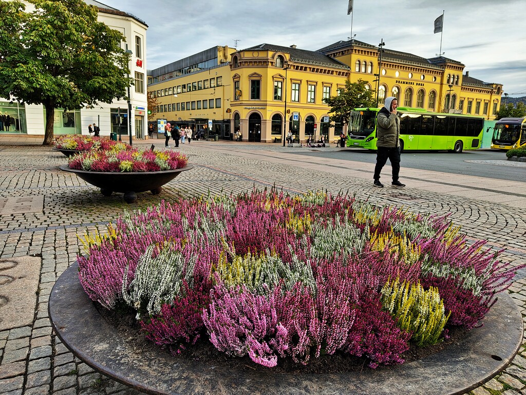 Drammen City centre. by okvalle