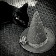 12th Oct 2023 - Fianna and the Hat