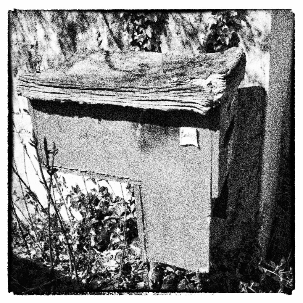 Letter box by dkbarnett