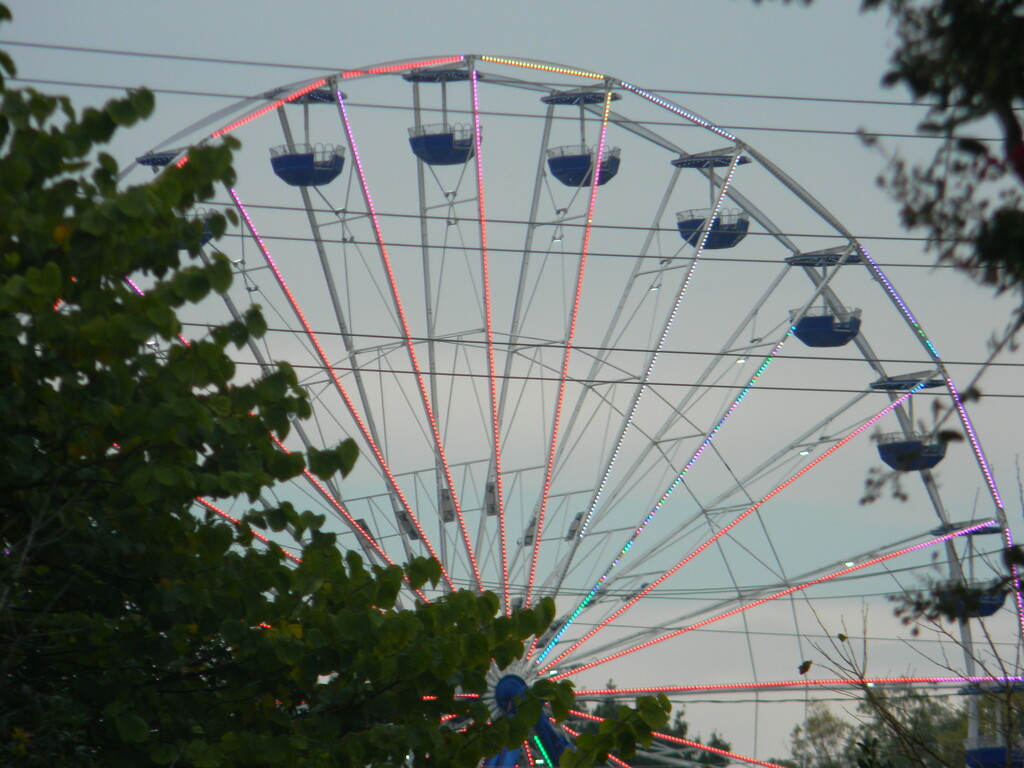 Ferris Wheel with Lights  by sfeldphotos