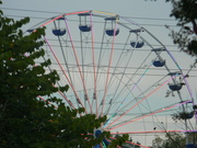 12th Oct 2023 - Ferris Wheel with Lights 
