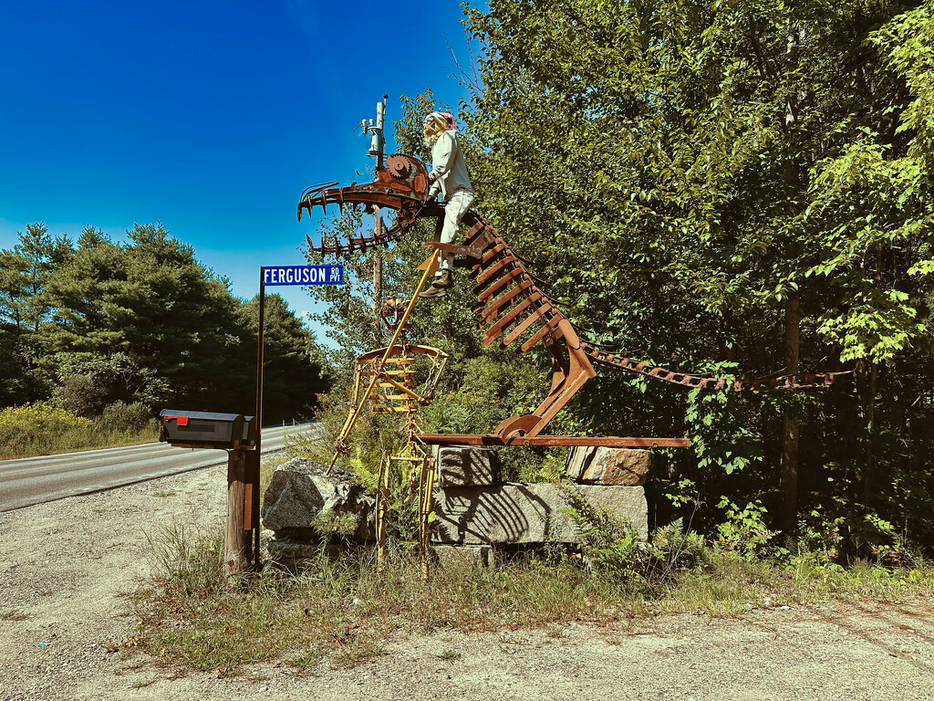 Roadside art? by joansmor