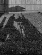 12th Oct 2023 - Afternoon Shadow