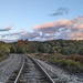 Train Tracks  by julie