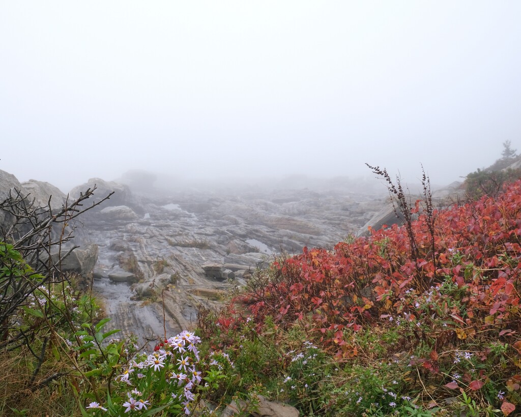 Pemaquid Point Foggy Day 1 by lsquared