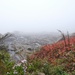 Pemaquid Point Foggy Day 1 by lsquared